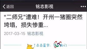 汕头自媒体爆料案件最新,惊天案件背后真相揭晓